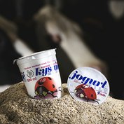 Bílý jogurt JOMA (200 ml)