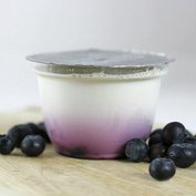 Farma Diviš Jogurt  (200 g) - Borůvka
